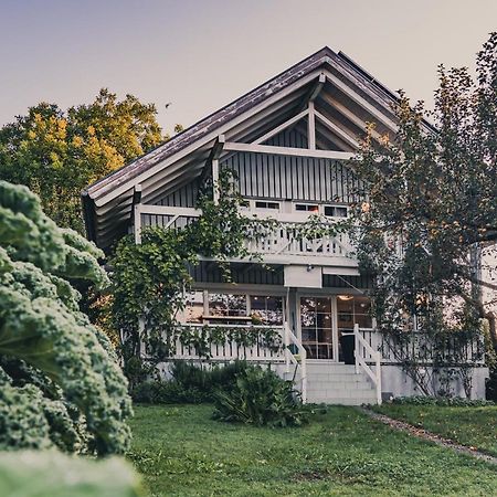 Gardenia-Altach, 2-4 P, Kueche, Garten, Terrasse, Parkplatz, Wifi, Ski Stellplatz 외부 사진