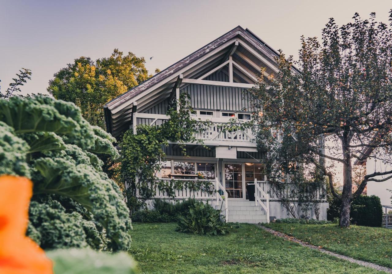 Gardenia-Altach, 2-4 P, Kueche, Garten, Terrasse, Parkplatz, Wifi, Ski Stellplatz 외부 사진